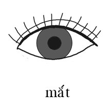 99-mat.jpg